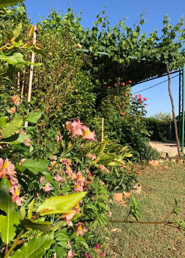 Appartamento Da Vjeri Pula Bagian luar foto