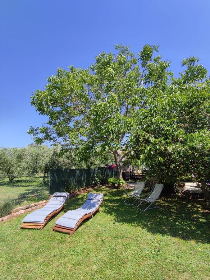 Appartamento Da Vjeri Pula Bagian luar foto